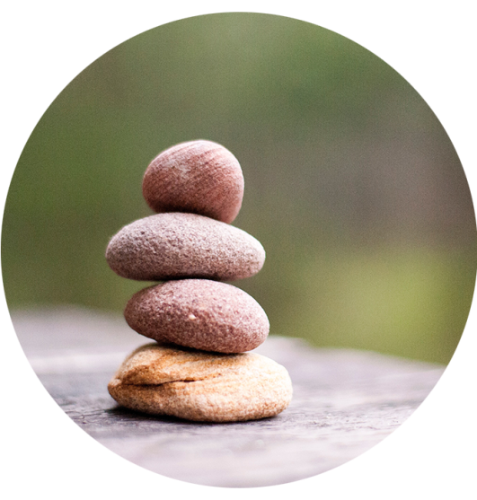 Hoe is het boek opgebouwd dominantie empoweryourself