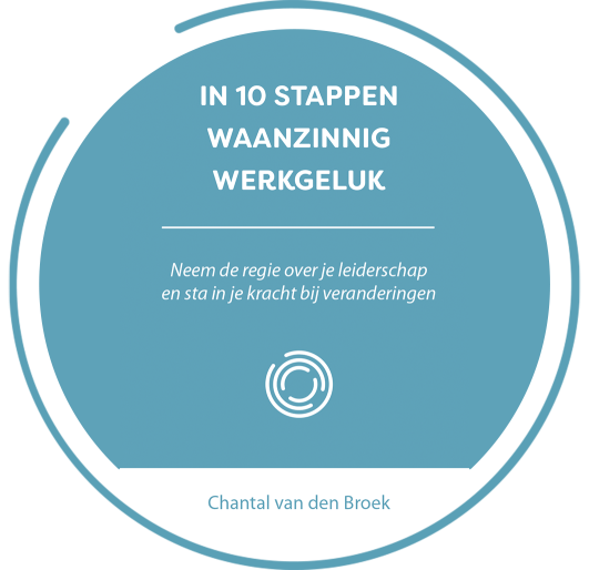 In 10 stappen waanzinnig werkgeluk